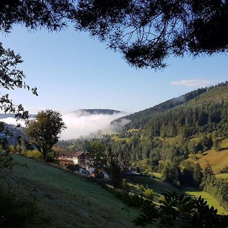 Ferienwohnung Tonbachtal Baiersbronn Eksteriør billede