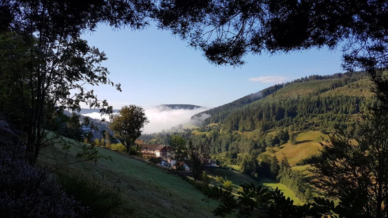Ferienwohnung Tonbachtal Baiersbronn Eksteriør billede